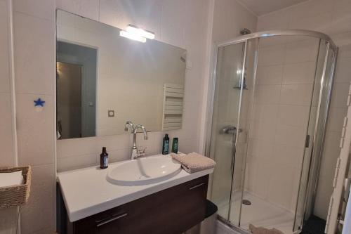 une salle de bain avec un lavabo et une douche dans l'établissement Appartement Cosy Paris 15e, à Paris