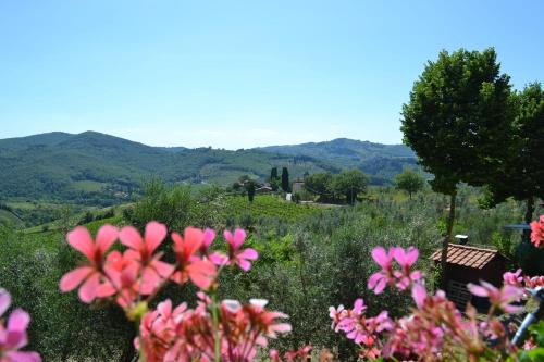 a field of pink flowers with mountains in the background at Terre di Melazzano - Le Case di Chiara in Greve in Chianti