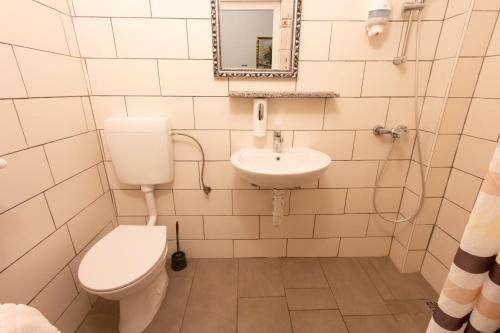 a bathroom with a toilet and a sink at Mama's House in Cerklje na Gorenjskem