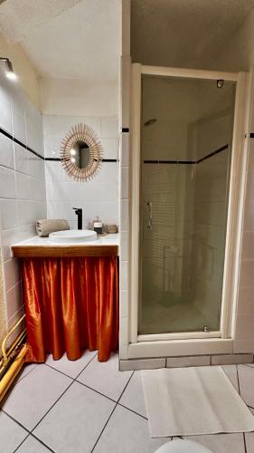 une salle de bain avec une douche, un lavabo et un miroir dans l'établissement Horizon Nostrum YourHostHelper, à Palavas-les-Flots