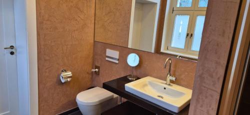 a bathroom with a sink and a toilet and a mirror at Schlosshotel Hohenbocka in Hohenbocka