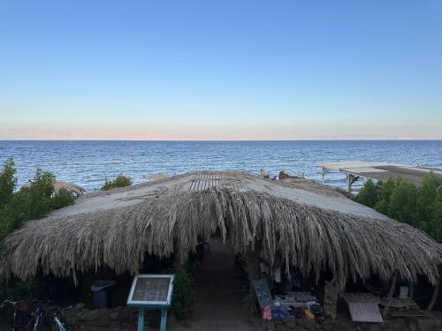 a large straw hut with the ocean in the background at Amanda beach hotel in Dahab