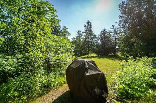 Κήπος έξω από το 5BR Riverfront Retreat w Firetable BBQ and Deck