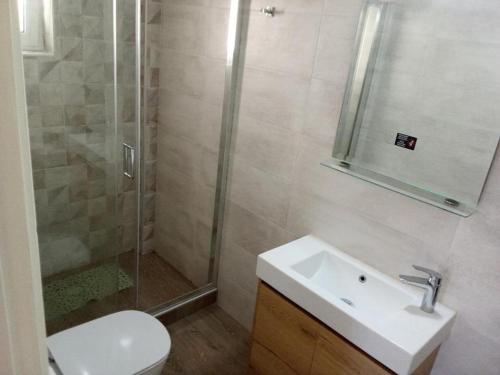 een badkamer met douche, wastafel en toilet bij The Beach House in Nydri