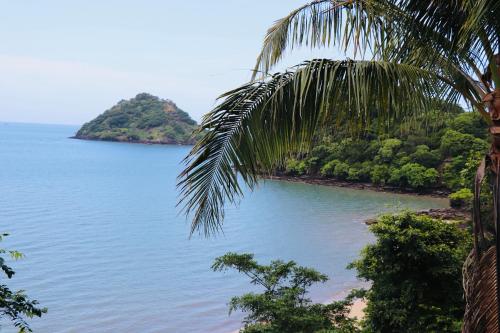a view of a beach with a palm tree at Majagual, un paraíso escondido in Cermeño