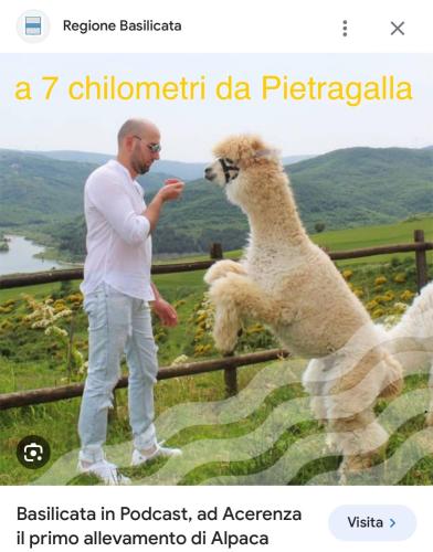 a man feeding a sheep by a fence at La casa dell’artista di Vittorio Vertone in Pietragalla