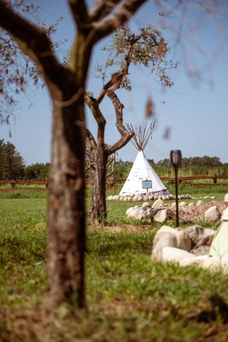 a white teepee in a field with rocks and trees at Agricampeggio Equinox in Carpignano Sesia