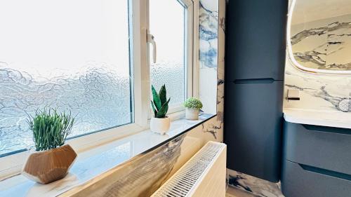 a window with potted plants on a shelf at Isleworth House London by Smart Corporate Stays in London