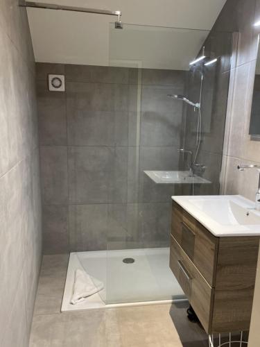 a bathroom with a shower and a sink at Sfeervolle 4 persoons cottage vlakbij Valkenburg in Voerendaal