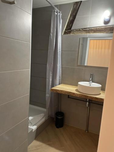 a bathroom with a sink and a shower at Gezellige cottage bij Valkenburg in Voerendaal