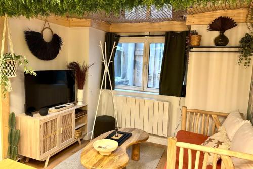 TV a/nebo společenská místnost v ubytování The Jungle - Superbe appartement au coeur de Lyon !
