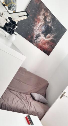 Cette chambre dispose d'un lit et d'une photo murale. dans l'établissement Spacieux T2 Bis Industriel Aérospatial, à Toulouse
