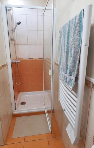 une douche avec une porte vitrée dans une salle de bain dans l'établissement Spacieux T2 Bis Industriel Aérospatial, à Toulouse