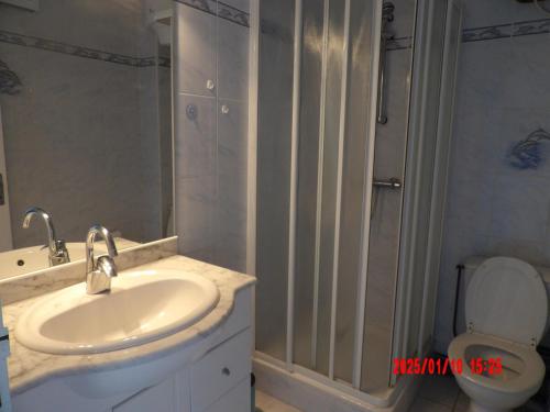 une salle de bain avec un lavabo, une douche et des toilettes dans l'établissement St Cyprien Appart lumineux face mer, à Saint-Cyprien