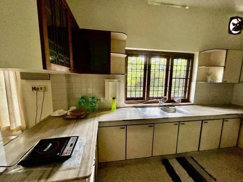 Kuchyň nebo kuchyňský kout v ubytování Mango Tree Villa