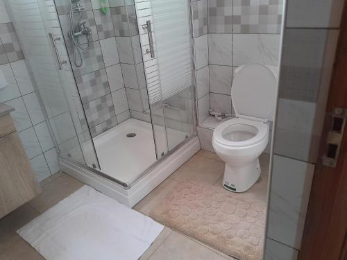 a bathroom with a shower and a toilet at Goshen Villa Taita in Voi