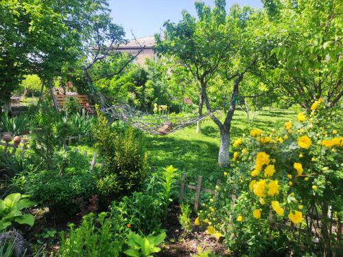 a garden with yellow flowers and a tree at Our Village in Ashtarak