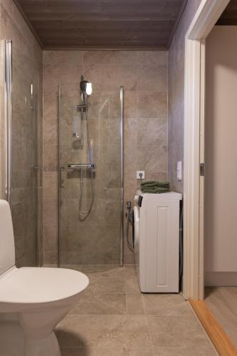 un bagno con doccia, wc e lavandino di Skarvrusäterns Fjällby - Tänndalen a Tänndalen
