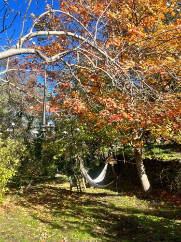 a hammock hanging from a tree in a park at POGGIO ROSETO in Randazzo
