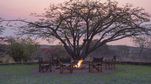 a group of chairs around a fire under a tree at Musungwa Safari Lodge in Shanjungu
