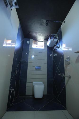 a bathroom with a shower with a toilet and a light at City Palace Hotel in Ooty