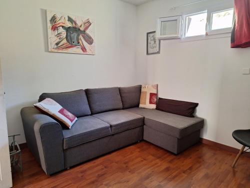 a living room with a gray couch in a room at Maison PORTIRAGNES près de la mer et du Canal du Midi in Portiragnes