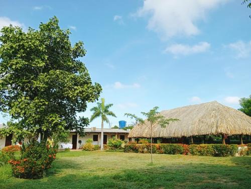 a resort with a grass roof and a building at Casa Manaure in Manaure