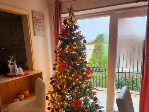 a christmas tree in a room with a window at Villa Palma Karojba in Karojba