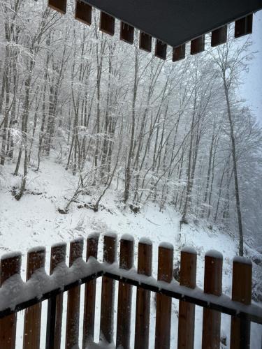 a view of a snow covered forest through a window at MM Mavrovo Apartments in Mavrovo