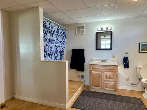 a bathroom with a sink and a toilet at Mudges Bluff Waterfront Retreat in Lubec