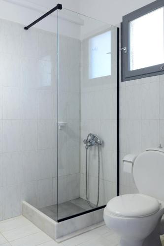 a bathroom with a shower and a toilet at VIRI VIRI APARTMENTS in Lilikás