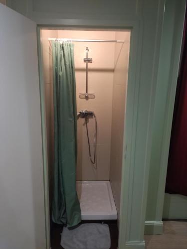 La salle de bains est pourvue d'une douche avec rideau de douche vert. dans l'établissement Studio 2 proche de la gare SNCF, à Angoulême