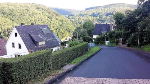 a winding road in a village with houses and mountains at Niederdreisbacher Hof in Niederdreisbach