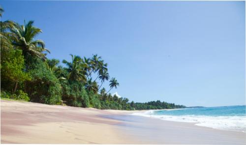 Příroda nedaleko apartmánu