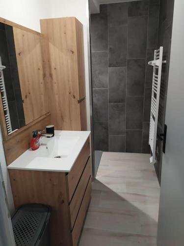 une salle de bain avec un lavabo et une douche dans l'établissement Meublé Climatisé 75 M2, à Souvans