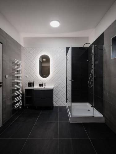 a bathroom with a shower and a sink at Chata Zlatnik v Jizerských horách in Zlatá Olešnice