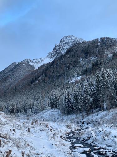 a mountain covered in snow and trees on a hill at Locanda al Toal in Moena