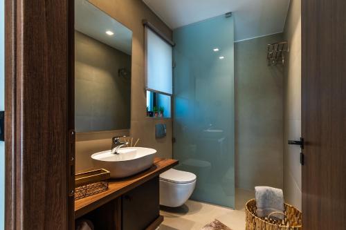 a bathroom with a sink and a toilet and a glass shower at Nestor Luxury Villas in Romanu