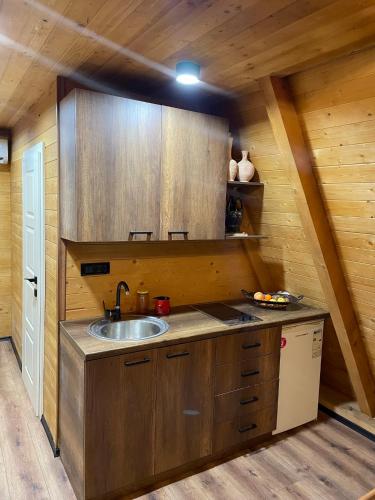 a kitchen with a sink in a log cabin at Villa Leka in Siničane