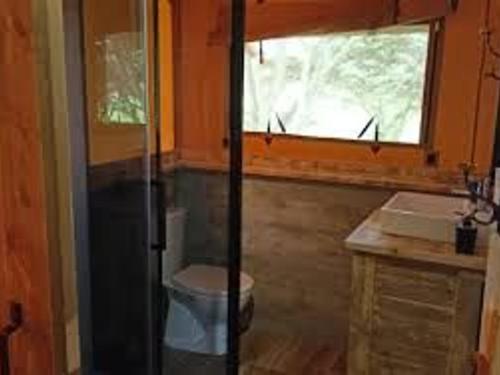 une salle de bain avec toilettes, lavabo et fenêtre dans l'établissement Cabane Trappeur Lodge avec Jacuzzi et Ferme Pédagogique - FR-1-410-458, à Cérans-Foulletourte
