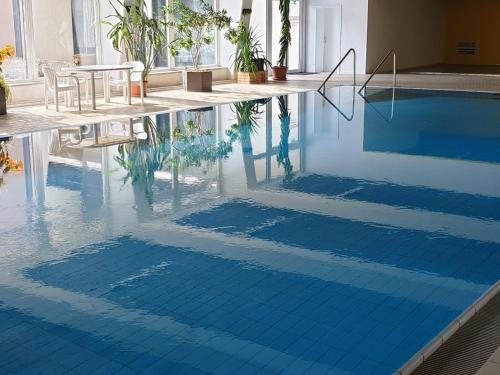Πισίνα στο ή κοντά στο Apartment mit 4 Schlafplätze in Bayerischen Wald