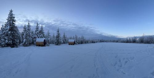 a snow covered field with trees and a mountain at The Adamina in Fairbanks