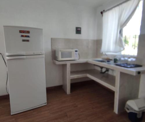 a kitchen with a counter with a microwave and a refrigerator at Posada Santa Elena in Santa María Atlihuetzián