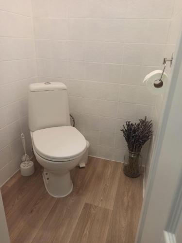 a bathroom with a white toilet in a room at Chalupa u Martina in Vápenice