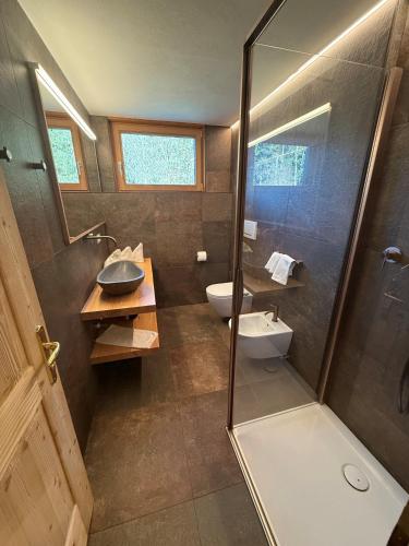 Un baño con ducha, inodoro y lavabo. en Falkenau, en Chienes