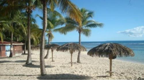 a group of palm trees on a beach with the ocean at Kaz'bouchons in Saint-François