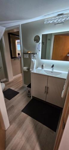 a bathroom with a sink and a mirror at 1 block to Kelowna General Hospital 2 blocks to Beach 1km to OUC 1km to Downtown Kelowna 20min to YLW in Kelowna