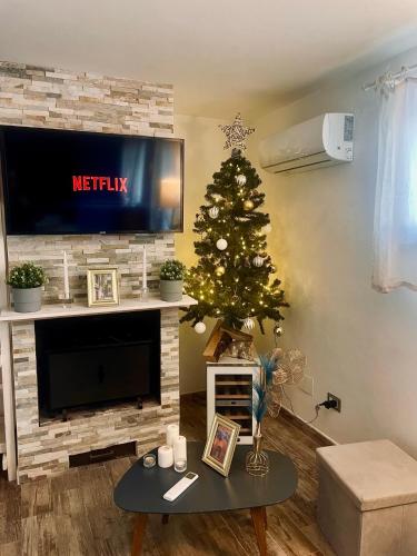 a living room with a christmas tree and a tv at The Attic in Civitavecchia