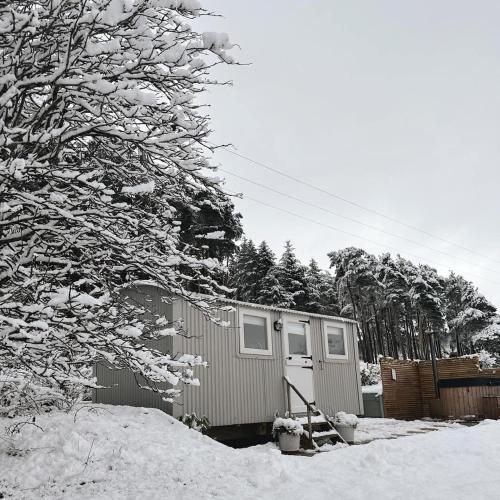 The Little Yorkshire Shepherd's Hut v zimě