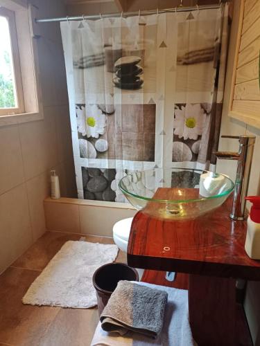 a bathroom with a glass sink and a toilet at La pincoya in Chonchi